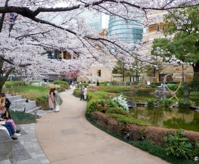 Roppongi Hills (Tokyo), vue sur le complexe depuis le jardin Mohri en période de sakura 