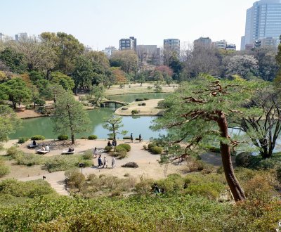 Rikugi-en (Tokyo), point de vue Fujishiro-toge sur le plan d'eau central du jardin au début du printemps