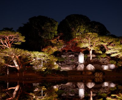 Illuminations automnales du Rikugi-en (Tokyo), vue nocturne du jardin japonais autour de l'étang principal