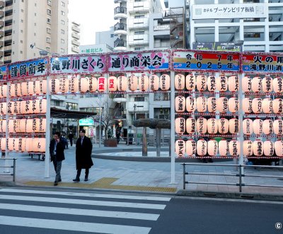 Itabashi (Tokyo), lampions dans les rues pour l'année 2025