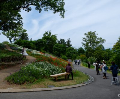 Jardin botanique Makino (Kochi), Jeunes mariés posant dans les allées fleuries du jardin 