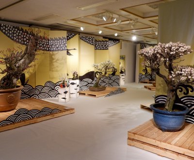 Nagahama Bonbaiten (lac Biwa), exposition de bonsaï de fleurs de prunier à la fin de l'hiver