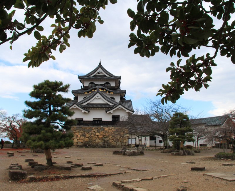 Chateau de Hikone (Shiga), vue du donjon dans l'enceinte Honmaru Chateau de Hikone (Shiga), vue du donjon dans l'enceinte Honmaru