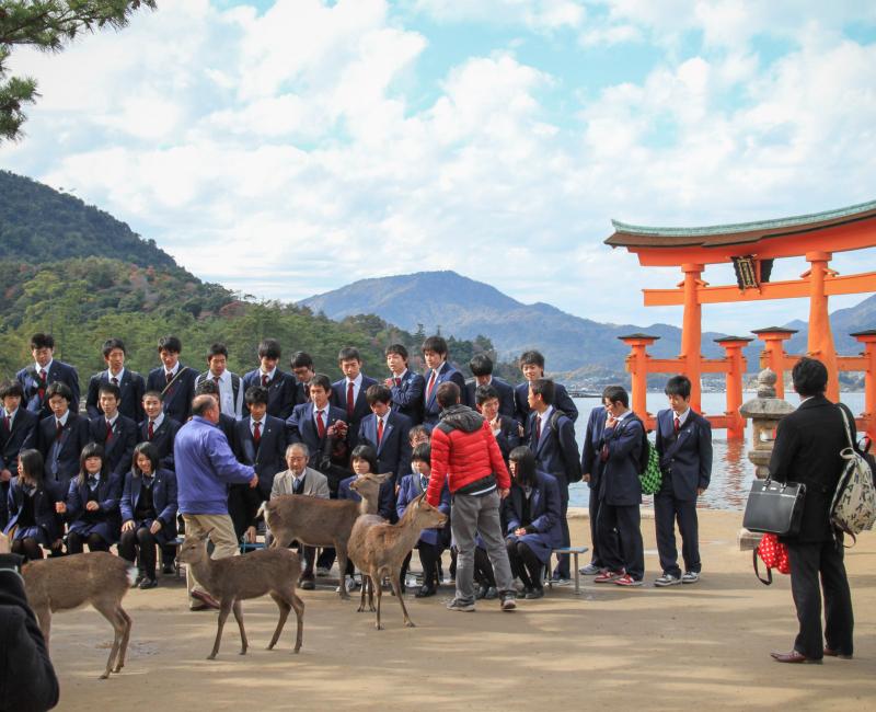 Miyajima, séance photo scolaire devant le grand Torii Miyajima, séance photo scolaire devant le grand Torii