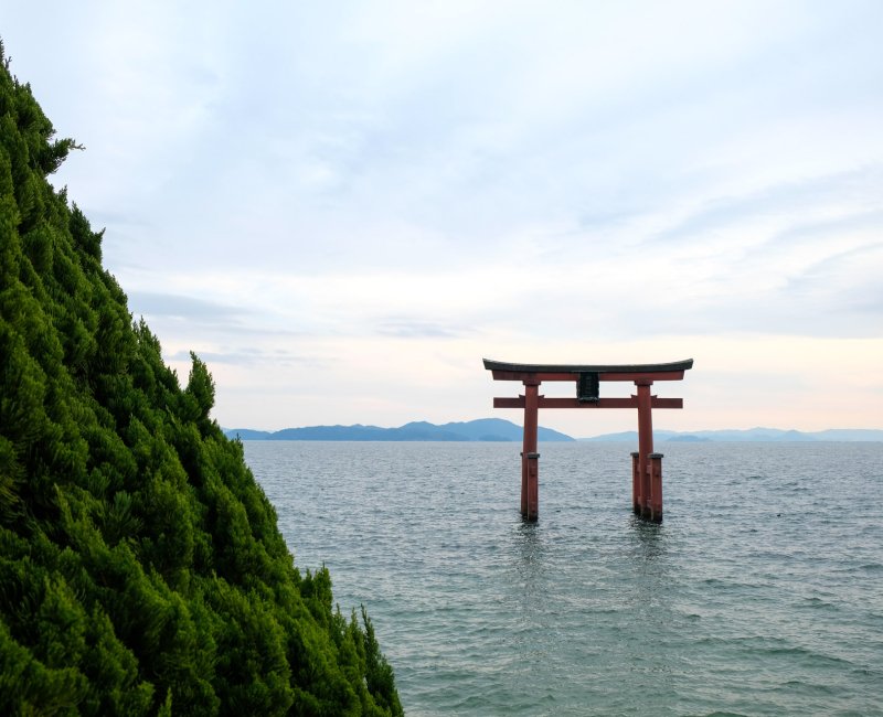 Shirahige-jnja (Takashima, Shiga), Torii flottant sur lac Biwa Shirahige-jnja (Takashima, Shiga), Torii flottant sur lac Biwa