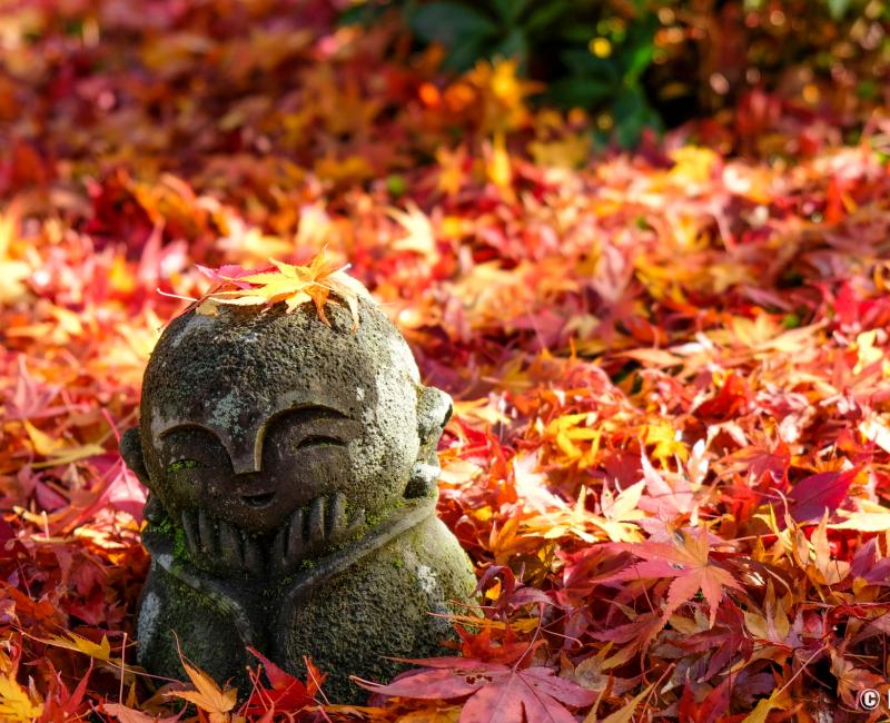 Enko-ji (Kyoto), statue de warabe-Jizo et feuilles d'érables rouges Enko-ji (Kyoto), statue de warabe-Jizo et feuilles d'érables rouges