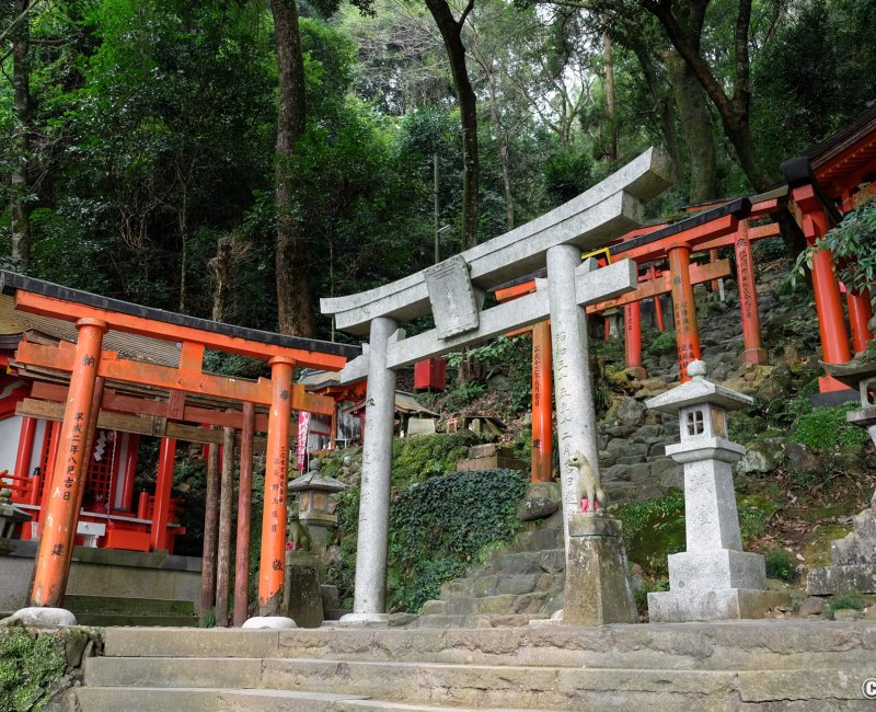 Yutoku Inari-jinja (Saga), Torii rouges dans la zone Okunoin du sanctuaire Yutoku Inari-jinja (Saga), Torii rouges dans la zone Okunoin du sanctuaire