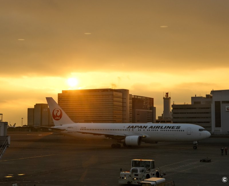 Aéroport Haneda (Tokyo), avion de la compagnie JAL