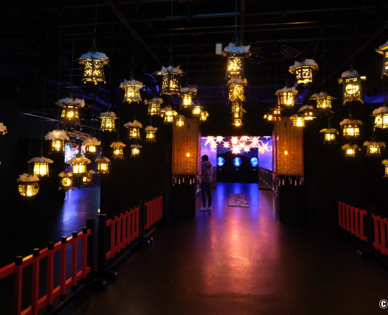 Art Aquarium Museum GINZA (Tokyo), espace d'exposition Ginza Mantoro en début de visite Art Aquarium Museum GINZA (Tokyo), espace d'exposition Ginza Mantoro en début de visite