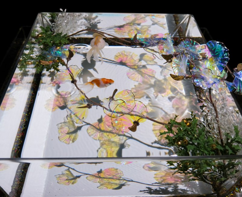 Art Aquarium Museum GINZA (Tokyo), espace d'exposition A Show of Kingyo 2 Art Aquarium Museum GINZA (Tokyo), espace d'exposition A Show of Kingyo 2