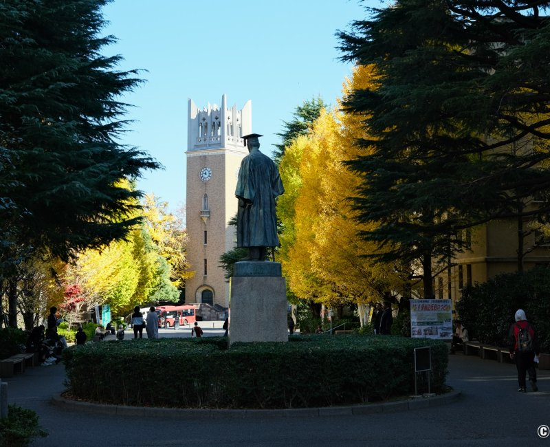Université de Waseda (Tokyo), statue de Shigenobu Okuma et ginkgos à l'automne Université de Waseda (Tokyo), statue de Shigenobu Okuma et ginkgos à l'automne
