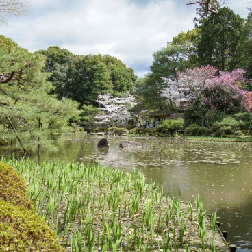 Heian-jingu - Le Sanctuaire Aux Cerisiers Pleureurs De Kyoto