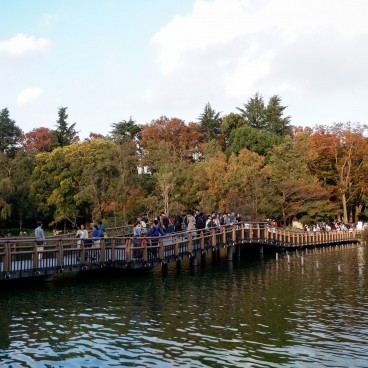 Inokashira - Le grand parc de Kichijoji