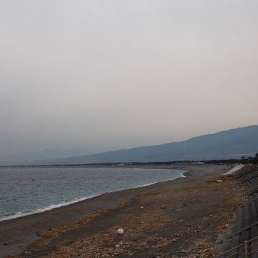 Numazu - Le Port Aux Pins Au Nord-ouest D'Izu