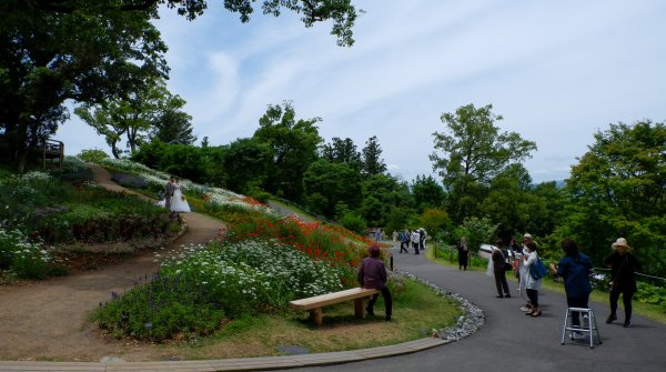 Jardin botanique Makino (Kochi), Jeunes mariés posant dans les allées fleuries du jardin 