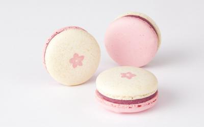 Macaron Sakura Lindt Saint Valentin Japon