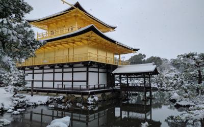 Kinkakuji Neige