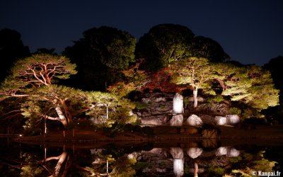 Illuminations automnales du Rikugi-en (Tokyo), vue nocturne du jardin japonais autour de l'étang principal