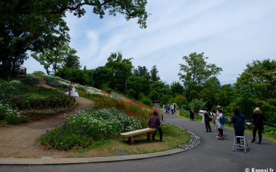 Jardin botanique Makino (Kochi), Jeunes mariés posant dans les allées fleuries du jardin 