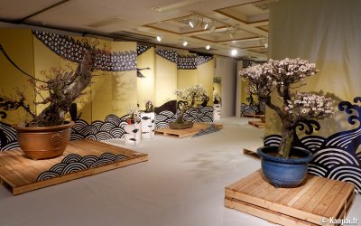 Nagahama Bonbaiten (lac Biwa), exposition de bonsaï de fleurs de prunier à la fin de l'hiver