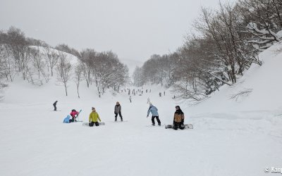 GALA Yuzawa Ski Resort (Niigata), piste de ski et snowboard dans la forêt