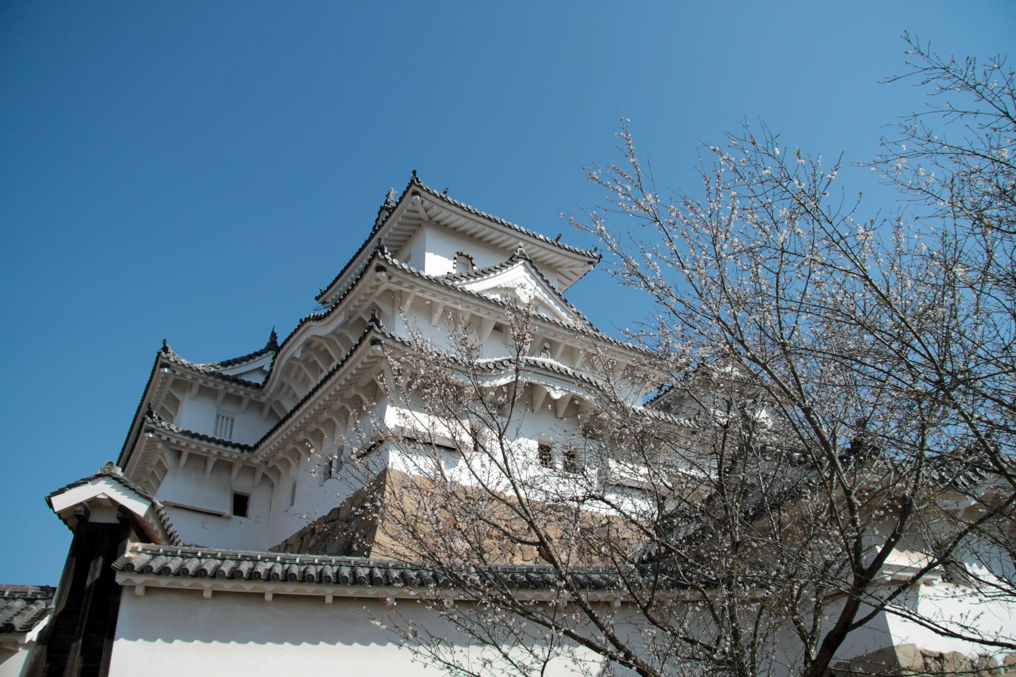 La nourriture japonaise au patrimoine mondial de l'UNESCO