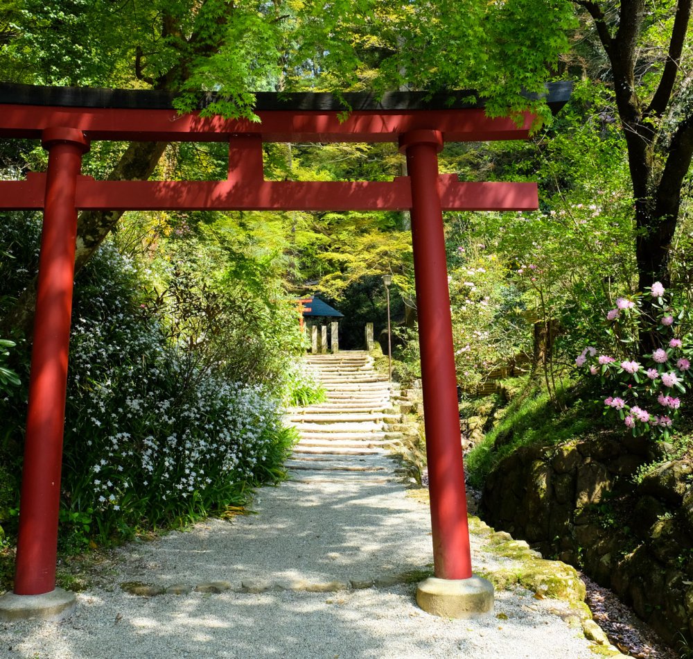 Oka-dera (Asuka), enceinte du temple au printemps et tour de la cloche Shoro-do Oka-dera (Asuka), enceinte du temple au printemps et tour de la cloche Shoro-do